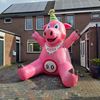 Feestvarken alle leeftijden Feestvarken alle leeftijden